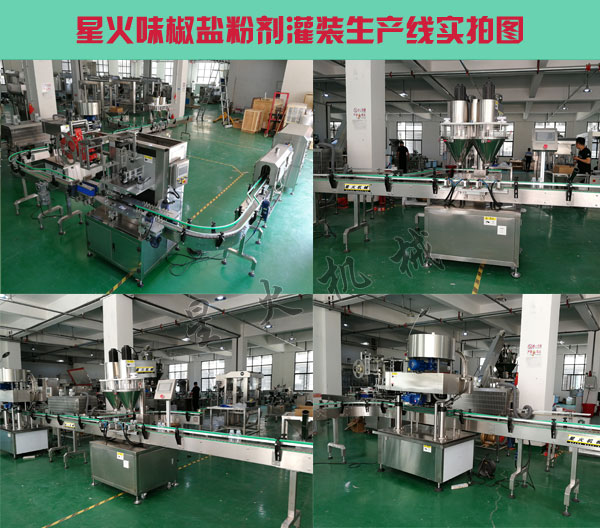 味椒鹽粉劑灌裝生產線-全自動味椒鹽灌裝設備廠家實拍